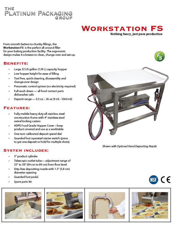 Workstation FS Flyer 1