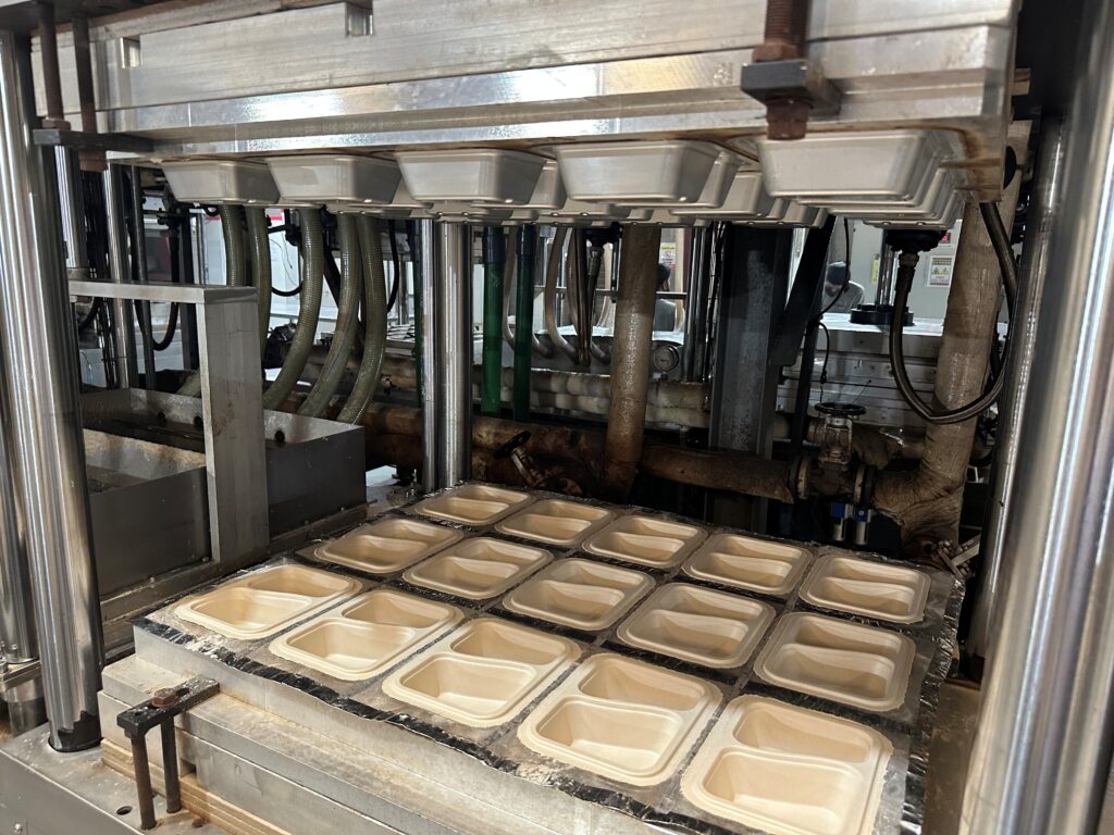 6 benefits of sugar bagasse in modern packaging-1